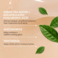 INNISFREE - Green Tea Seed Hyaluronic Serum - 80ml